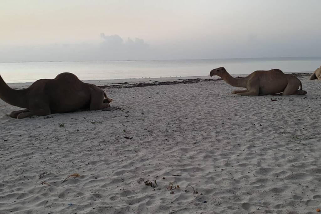 Cowrie Beach Haven Studio Mombasa Exterior foto